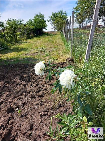 CASA  INDIVIDUALA CU 4 CAMERE 95MP SI TEREN 540MP | SURA MARE - 12