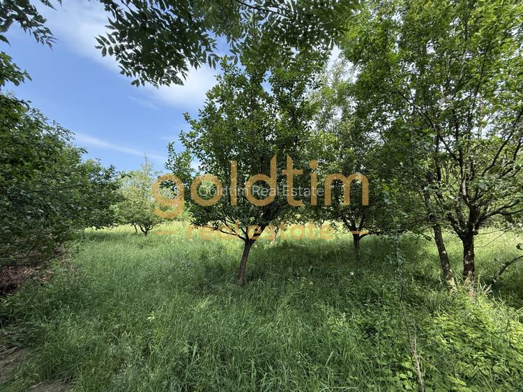 CASA IN ZONA LINISTITA/MOBILATA/UTILATA/TEREN IMPRESIONANT 5000MP/CORNU/PRAHOVA - 4