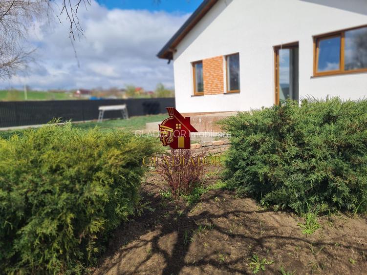 Casa plan parter deosebita, Lunca Cetatuii Ciurea, la asfalt, zona vis - 8