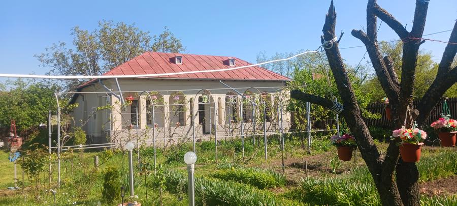Casa de vanzare Comuna Viisoara-Judetul Teleorman - 18