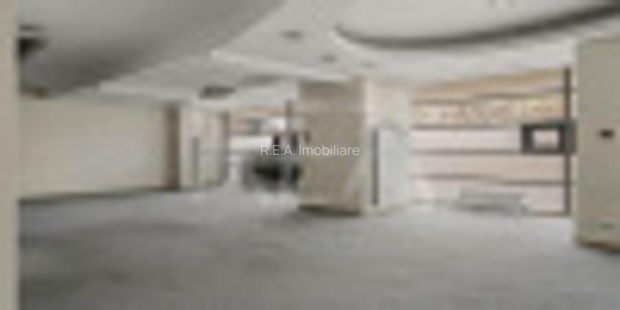 Inchiriere Spatiu Comercial - Sos. Pantelimon 1085 mp - 6