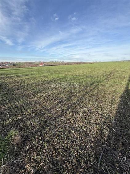 Aroneanu TEREN 14400mp intravilan cu utilitati zona construibila - 6