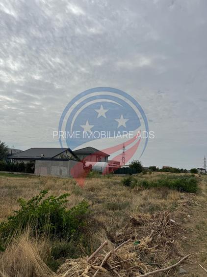 Parcele de teren/Str Ficusului/Damila/Craiova - 2