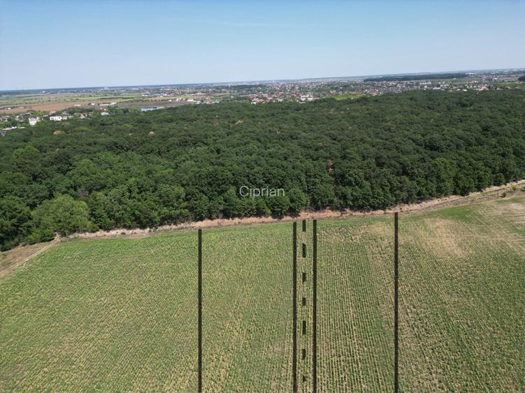 Teren intravilan langa padure Corbeanca Park - 6