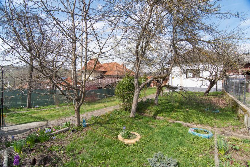 Casa gata de mutat+teren 1000 mp in zona de deal, jud. Arges - 13