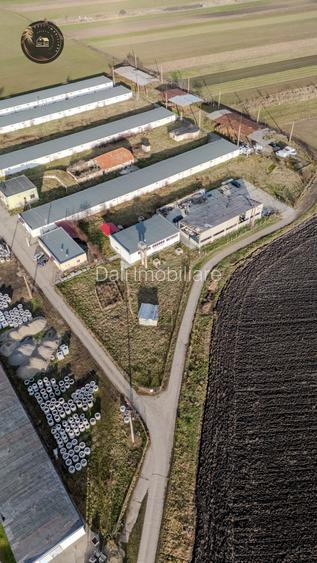 Hală Bod de închiriat – ideală service auto, 271 mp - 8