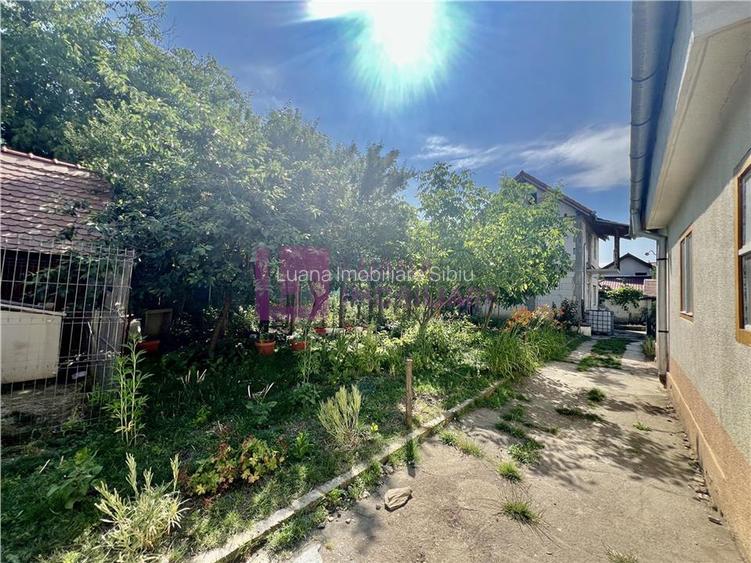 Casa de vanzare  | 2 constructii | 540 mp teren |  zona Lupeni | pivnita - 12