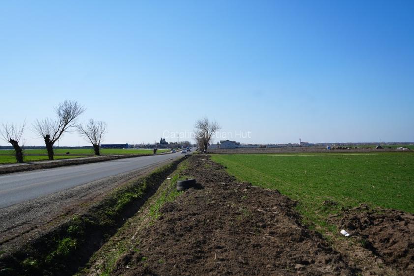 Teren 1 HECTAR cu deschidere mare la DJ682 – Zădăreni, Arad - 2