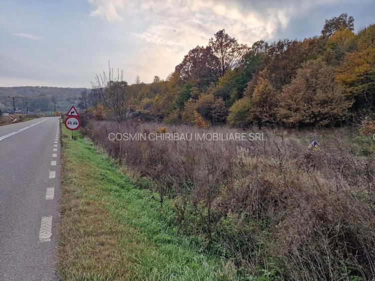 Teren 1,717mp Margineni / Strada Sat podis - 8