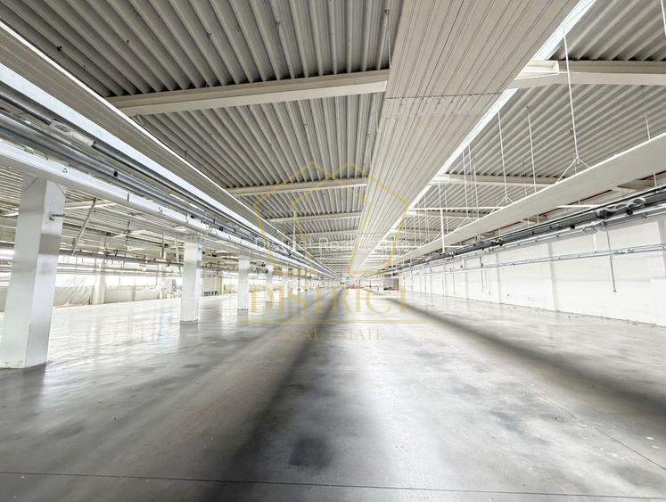 Hala industriala 4.300mp | Sagului | Timisoara | - 7