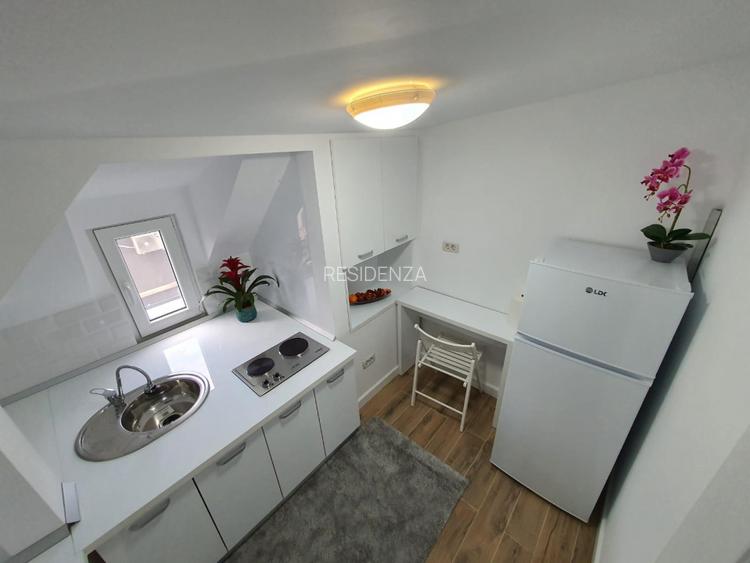 Garsoniera in Vila Parcul Carol | Mansarda | Pet Friendly - 11