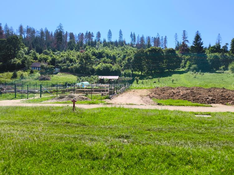 Teren intravilan în Cristian - Lunca Gării. - 7