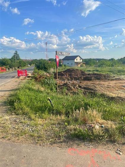 Vanzare Teren Central, Moara Vlasiei - 4