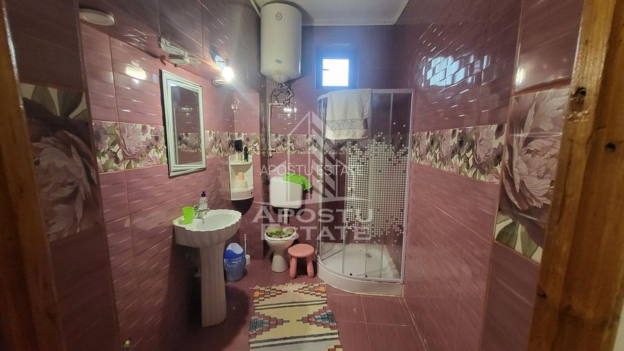 Casa individuala cu 6 camere,2 bai,teren de 1017 mp Pischia Central - 18