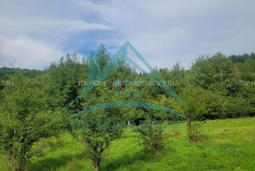 Teren pentru cabana/pensiune zona Lac Micesti! - 5