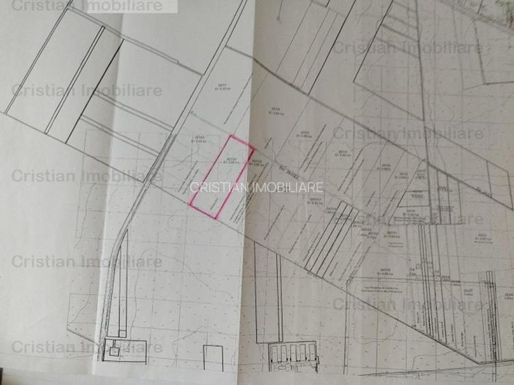 Teren intravilan de constructii Centura-Minerva 30.000 mp cu 50m front stradal - 4