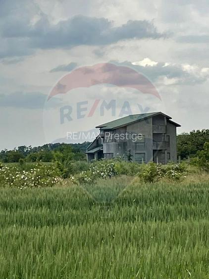 Teren intravilan, un colț de liniște, aflat în Petrești, Corbeanca - 5