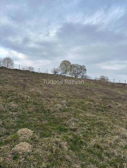 Teren de vânzare 1030m2, intravilan - Jud. Brașov - 7