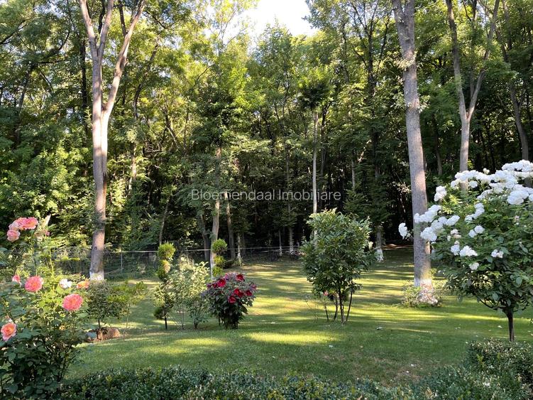 Vila  7 camere iancu nicolae gata de mutare - 4