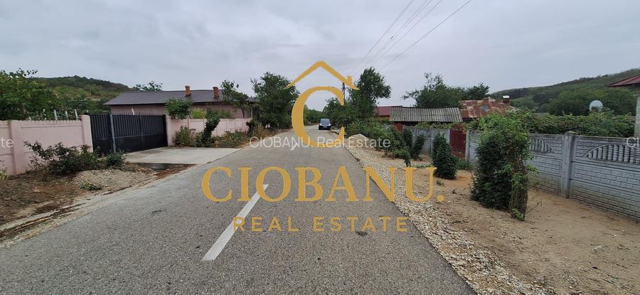 Teren Intravilan/Extravilan de vanzare in Bradestii Batrani - 3