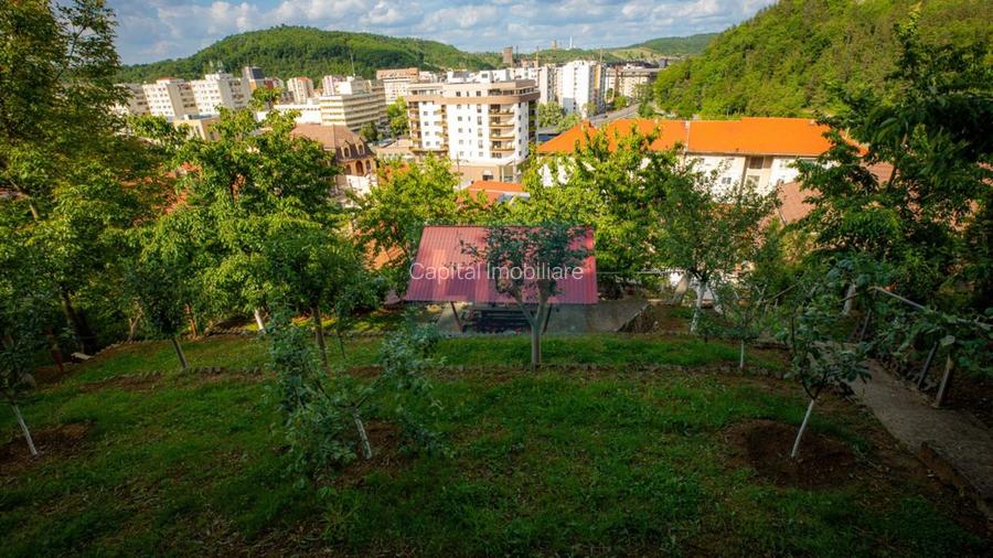 Casa superba zona centrala p+1 Resita - 38