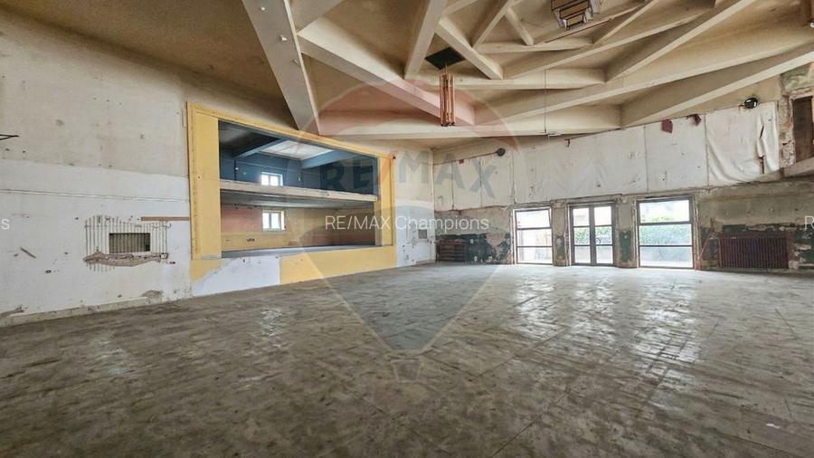 Cinematograful Arta Brașov | Cladire emblematica | S+P+E+Pod | 1310 mp - 11