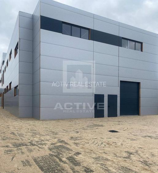 Hala cu curte proprie -zona napolact - 5