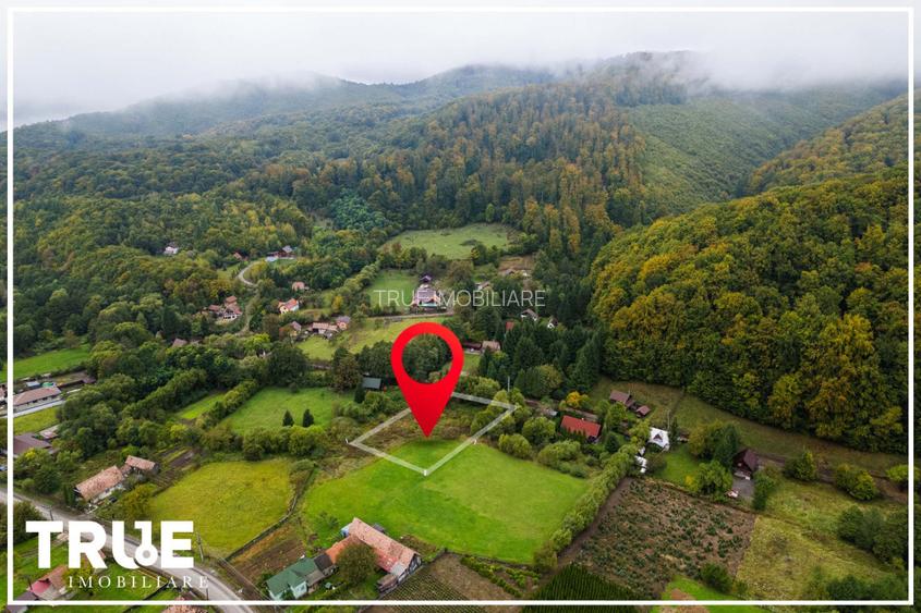 Teren intravilan C&acirc;mpul Cetății 2600m? - zonă de vacanță - 15