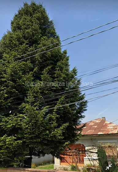 Propun spre vinzare teren 3168m2 Cornetu str.lalelilor deschider 12m lungime 264 - 6