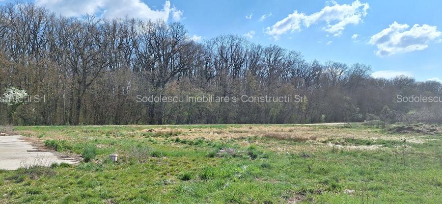 Teren duplex Dumbravita- Padurea Verde - 2