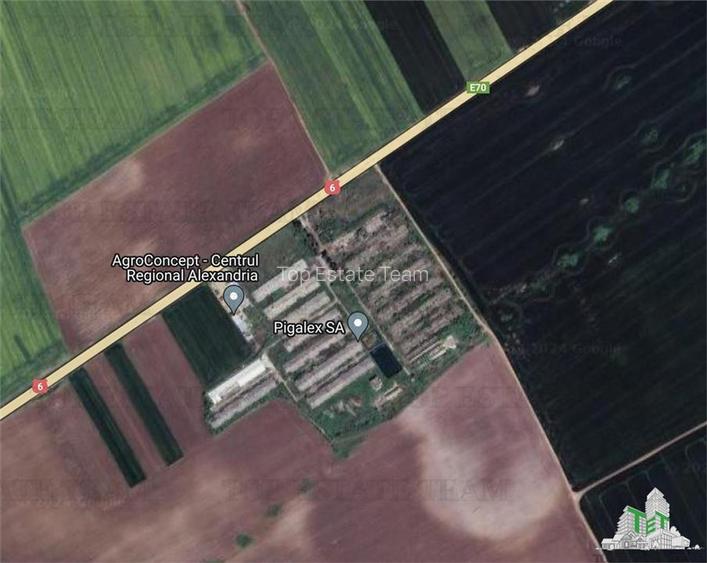 Teren intravilan constructii 4ha cu deschidere la drum european - 4