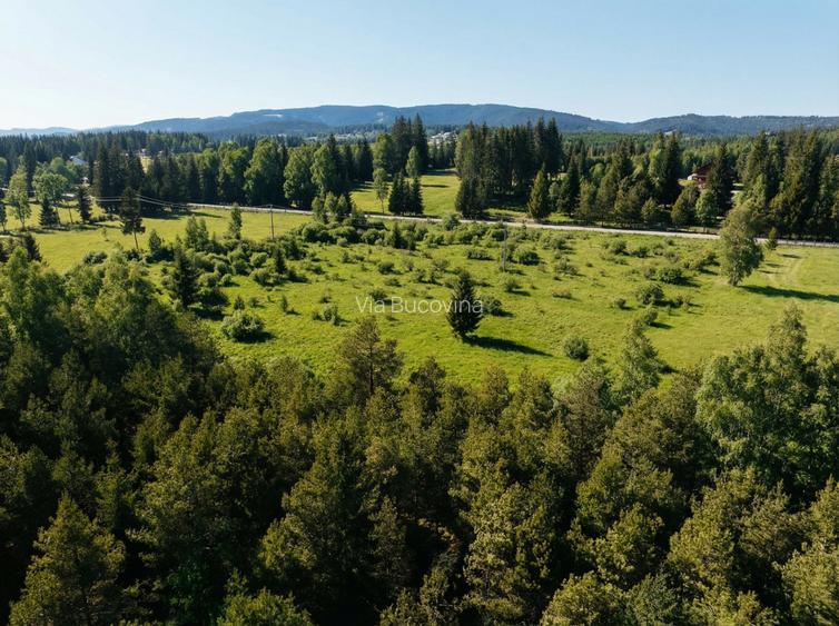 12700 mp investitie rezidențială- turistică- medicală Tinovul Mic/Șaru Dornei - 3