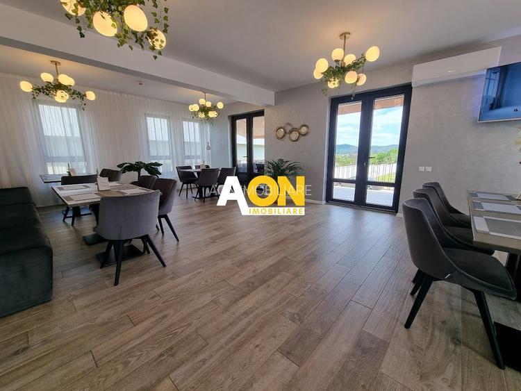 Pensiune De Vanzare Alba Iulia - 10