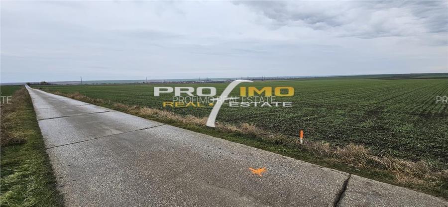 Plaja Corbu-Teren 4200mp. la numai 8 euro /mp. Soseaua asfaltata - 4