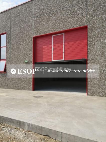 Hale industriale, parc modern, Rudeni, Chitila, Ilfov- ID 15462 - 14