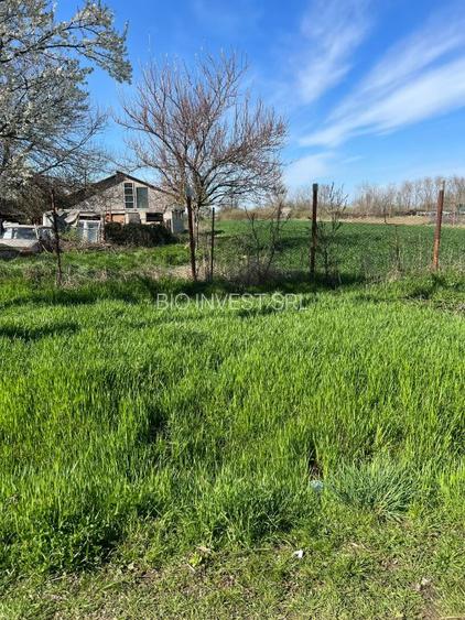 de vanzare casa in Ghilad (37 km - Timisoara) - 3