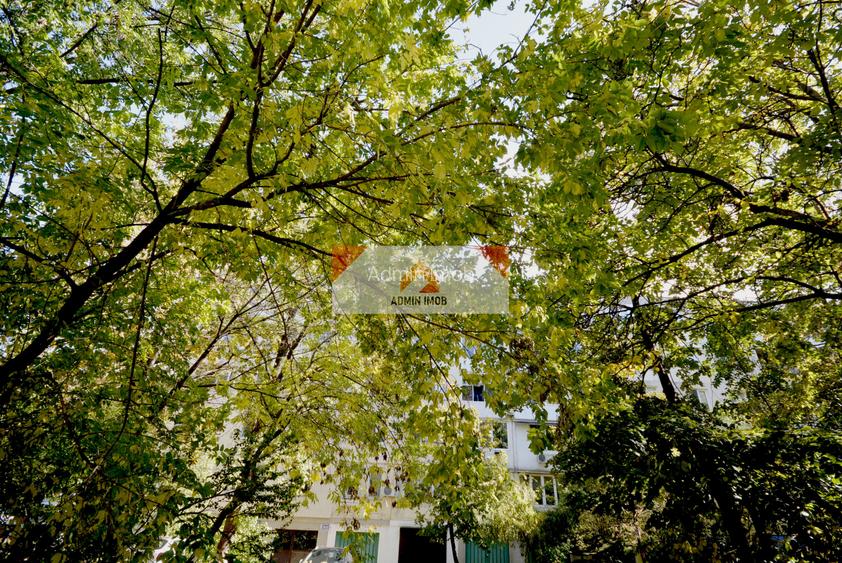 Dr Taberei  Studio+ BOXA -37 mp - Parter Inalt, M Valea Ialomitei 3 minute - 11