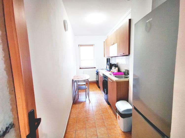 Inchiriere garsoniera ANL Brancusi Valea Oltului la cateva min metrou - 13