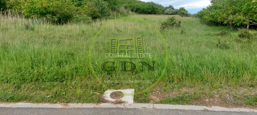 Teren Intravilan 6500mp, spre vanzare in Gusterita - 4