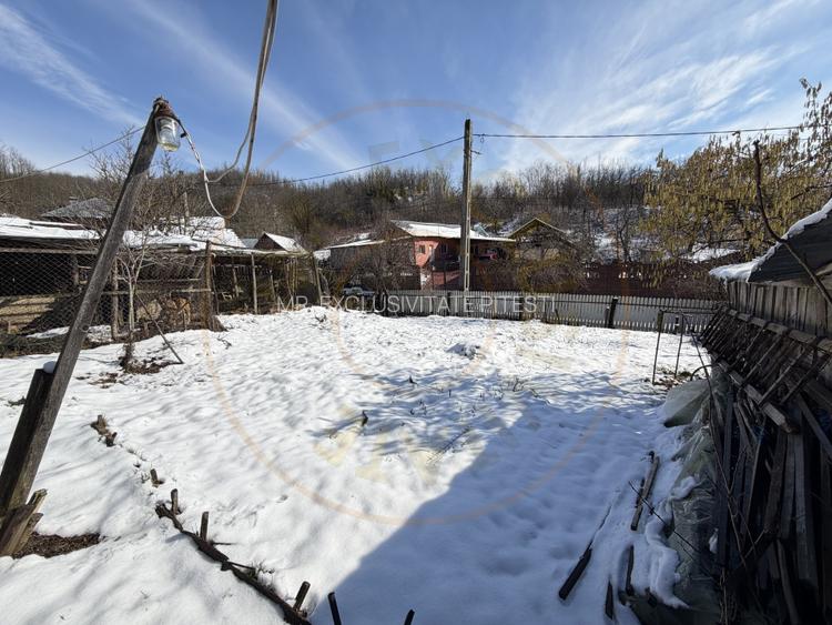 Casa Traditionala Priboieni Arges - 19