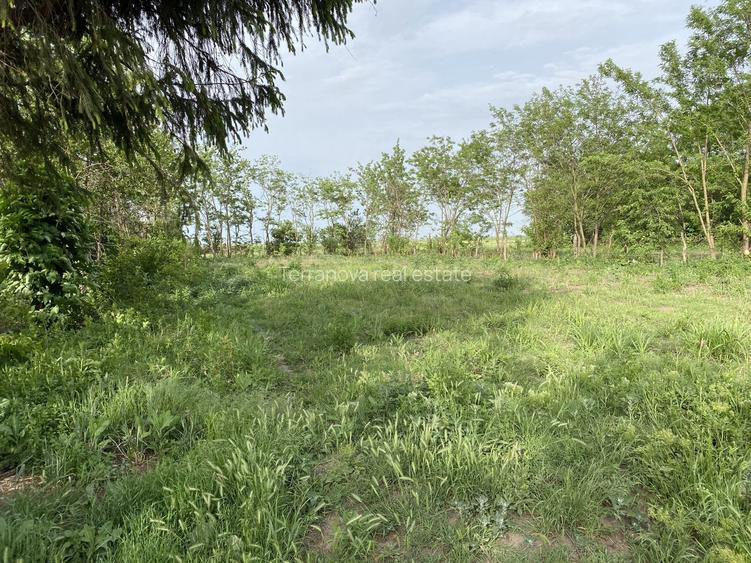 Vanzare casa si teren Gradistea - Boldesti, acces rapid din nod Autostrada A7 - 5