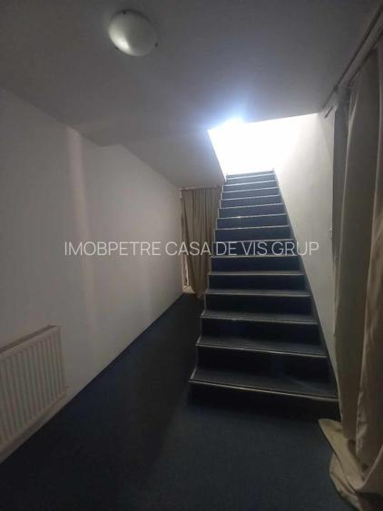 Casa de vanzare la 5 min de Centru cu trei nivele (D+P+1) si teren de 4300mp - 19