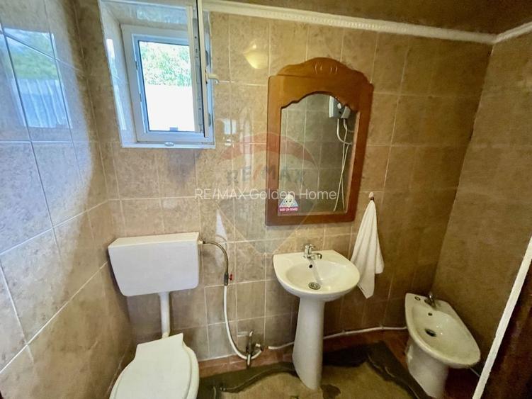 Casă Tifesti teren si vie - 22