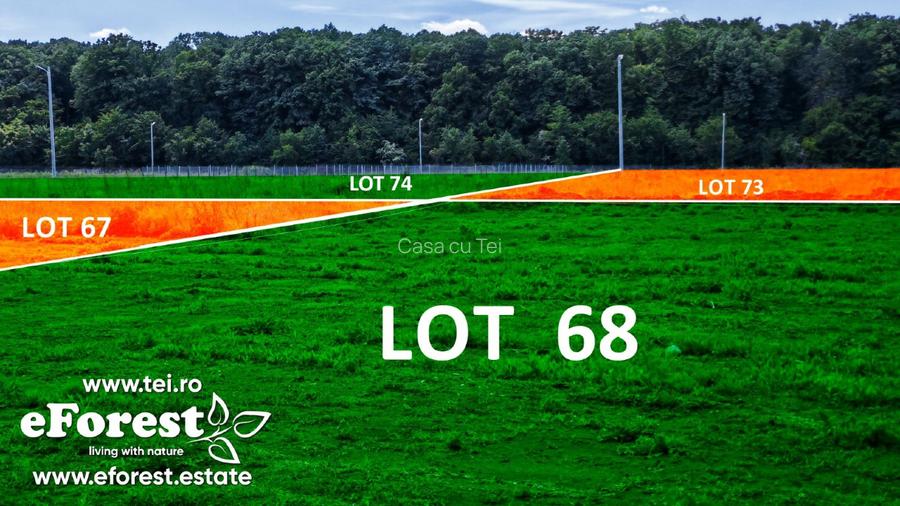 Loturi de casă între 2 păduri, cu intrare din DN, eForest, după Buftea - 5
