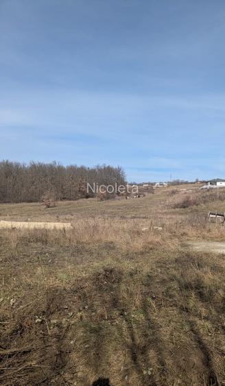 De vânzare teren intravilan 3444 Betfia - 4