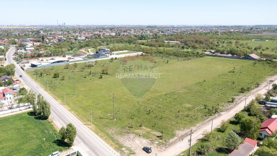 Domnesti- vanzare teren intravilan 10.000mp/ Soseaua Curtea Domneasca - 6