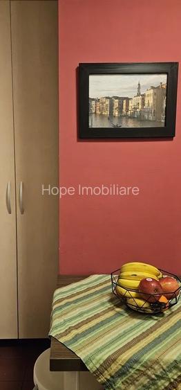 Tineretului-strada Trestiana -apartament 3 camere - 15