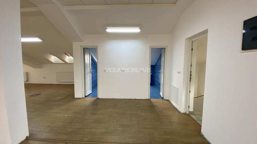 De inchiriat vila zona Take Ionescu,ISHO - 18