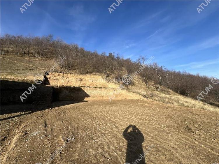Teren intravilan de 1641 mp cu PUZ aprobat si utilitati in Cisnadioara - 3