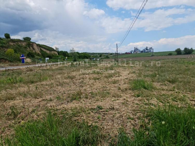 Comision 0,Teren Intravilan  17.000mp - Tulcea cu PUZ si utilitati - Pret Redus! - 4